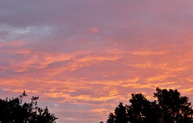 Fototapeta premium Beautiful clouds pink sunset summer evening beauty