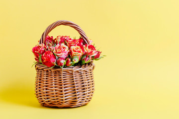 Fototapeta na wymiar Wicker basket with roses on yellow background.