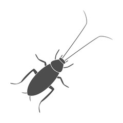 Cockroach silhouette on white background. Vector icon.