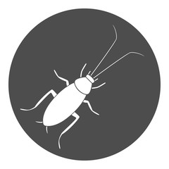 Cockroach icon. Beetle symbol. Vector.