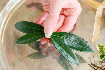How to make a hair clip with fresh roses, carnations and leaves, tutorial.