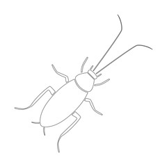 Cockroach silhouette. Outline. Vector icon.
