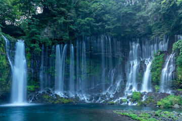 Fototapeta na wymiar [静岡県]白糸の滝