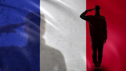 French soldier silhouette saluting against national flag, national guard patriot