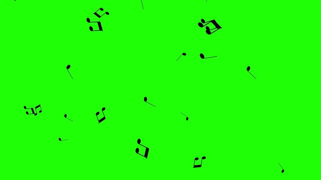 Rain of black music notes falling and flowing on green screen. Musical melody visually represented in chroma key. Music concept. Notes of an abstract musical composition. Animation background.