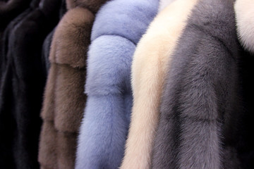 The fur coats. The fluffy background