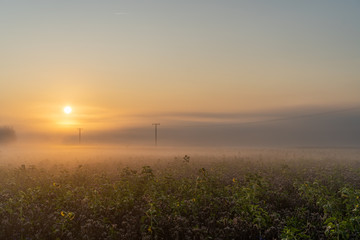 Obraz premium Sonnenaufgang im Sommer 