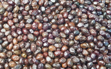 Marinated olives close-up. Food background. Selective focus image. Copy space.