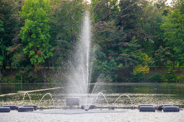 Fountain on the water. Water show. Fountain on the lake in the park.