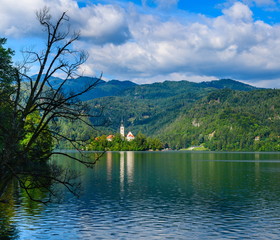 Fototapeta na wymiar Beautiful view of Bled Lake in the foreground a dried tree.