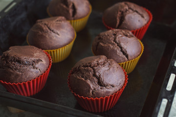Homemade cake. Chocolate cupcakes with chocolate chips.