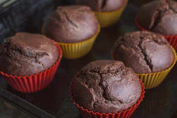 Homemade cake. Chocolate cupcakes with chocolate chips.