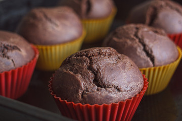 Homemade cake. Chocolate cupcakes with chocolate chips.