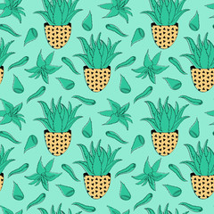 Pattern with hand drawn aloe vera