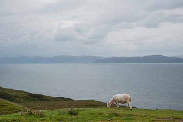 Fototapeta premium Great view from Applecross Peninsula (Scotland)