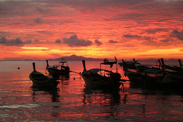 Longtail boats waiting at the Laemtong beach, Koh Phi Phi.