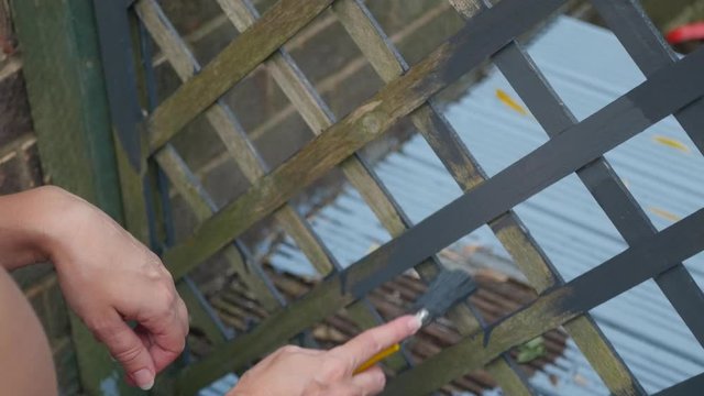 Painting a wooden trellis
