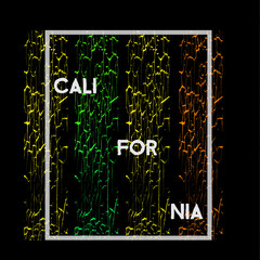 Aloha Hawaii. T-shirt and apparel modern design 