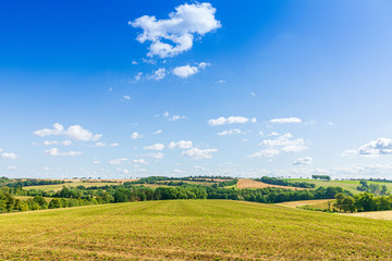 Idyllische Sommerlandschaft mit blauem Himmel