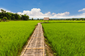 Small house and rice terraces field and Mountain,Nan,Northern of Thailand