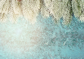 Christmas composition border with Xmas tree branch and frost on frozen winter window