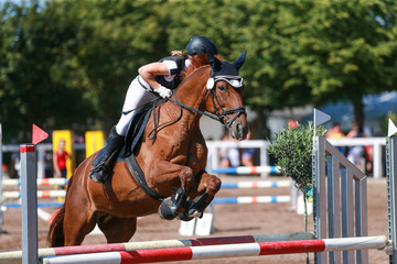 Horse on a jumping tournament, photographed in flight over the obstacle..