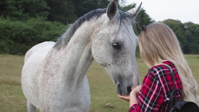 Blonde girl feeding and kissing a horse. Handheld. Circling