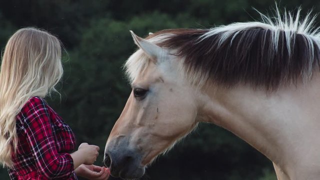 Blonde girl interacting with horse. Static