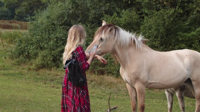 Blonde girl caressing and taking picture of horse with mobile. Static Handheld