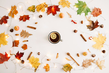 Autumn composition. Frame made of autumn leaves on white background. Flatlay, top view, copy space....