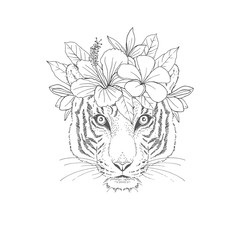 Tiger with floral wreath hand drawn sketch. Wild feline mammal head black ink engraving. Blooming Hibiscus, Frangipani with plant leaves in chaplet coloring book, postcard design element