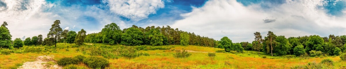 Fototapeta na wymiar Panorama einer Landschaft mit weitem Grasland und Wäldern im Hintergrund