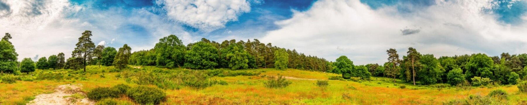 Panorama einer Landschaft mit weitem Grasland und W&auml;ldern im Hintergrund