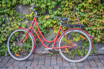 Fototapeta na wymiar vintage bicycle resting on ivy covered wall