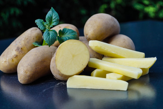 Kartoffel Solanum tuberosum