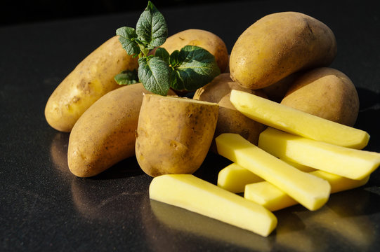 Kartoffel Solanum tuberosum