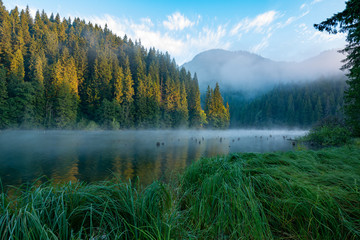 Red Lake - Romania on a quiet August morning
