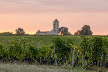Fototapeta na wymiar Sunset over the vineyards of Montagne near Saint Emilion. Gironde, Aquitaine. France