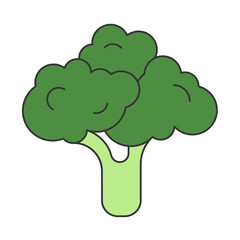 Simple vector linear illustration with healthy eating green broccoli veggie. Vegetable vegan symbol. flat design outline icon.