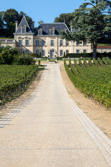 Vineyard of Chateau Fonplegade - name (literally fountain of plenty) was derived from the historic 13th century stone fountain that graces the estate's vineyard. St Emilion, France