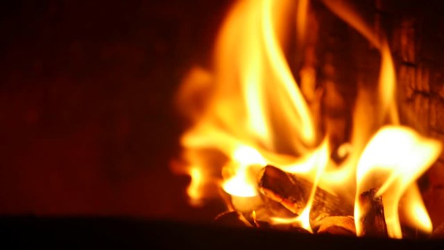 Wood Fire