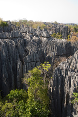 Parc national des Tsingy du massif du Bemaraha, Patrimoine mondial de l'UNESCO, Madagascar