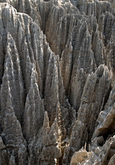 Fototapeta na wymiar Parc national des Tsingy du massif du Bemaraha, Patrimoine mondial de l'UNESCO, Madagascar