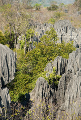 Parc national des Tsingy du massif du Bemaraha, Patrimoine mondial de l'UNESCO, Madagascar