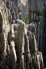 Parc national des Tsingy du massif du Bemaraha, Patrimoine mondial de l'UNESCO, Madagascar