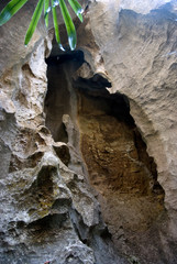 Parc national des Tsingy du massif du Bemaraha, Patrimoine mondial de l'UNESCO, Madagascar