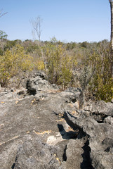 Parc national des Tsingy du massif du Bemaraha, Patrimoine mondial de l'UNESCO, Madagascar