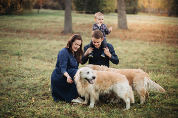 Family with a child and two golden retrievers in an autumn park