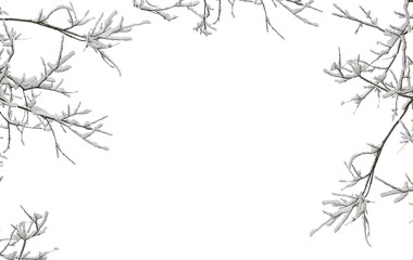 Twigs tree covered snow on a white background with space for text - Powered by Adobe