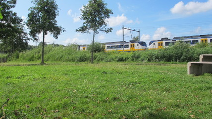 Fototapeta na wymiar train in the countryside